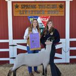 Grand Champion Lamb - Caitlin Schroell - Buyer - Spring Carpet