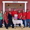 2024 Reserve Lamb – Zaniyah Berard, Dekaney FFA; Buyer – Dirty Dozen Buyers Group